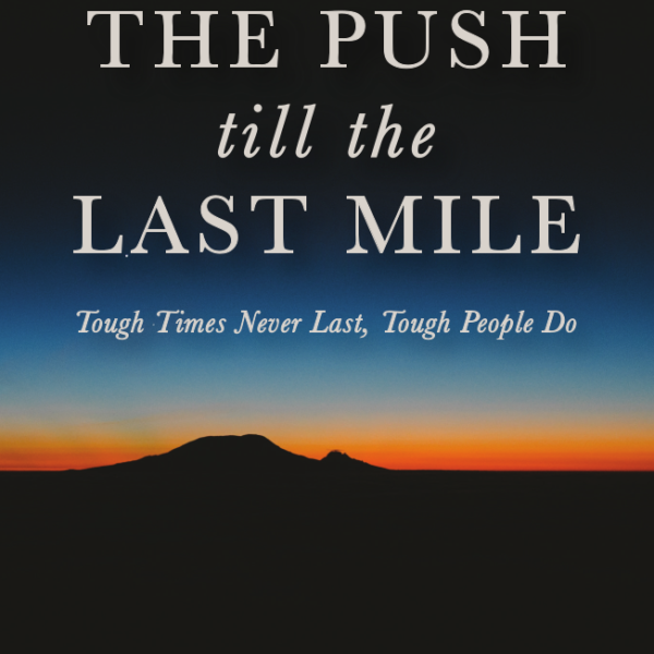 THE PUSH TILL THE LAST MILE Ebook